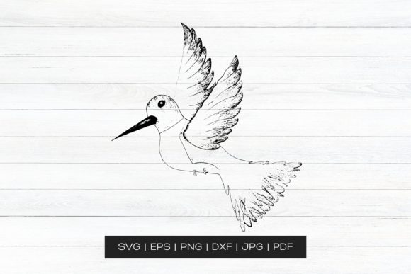 A Hand Drawn Bird Vector File for Crafters and Graphic Projects